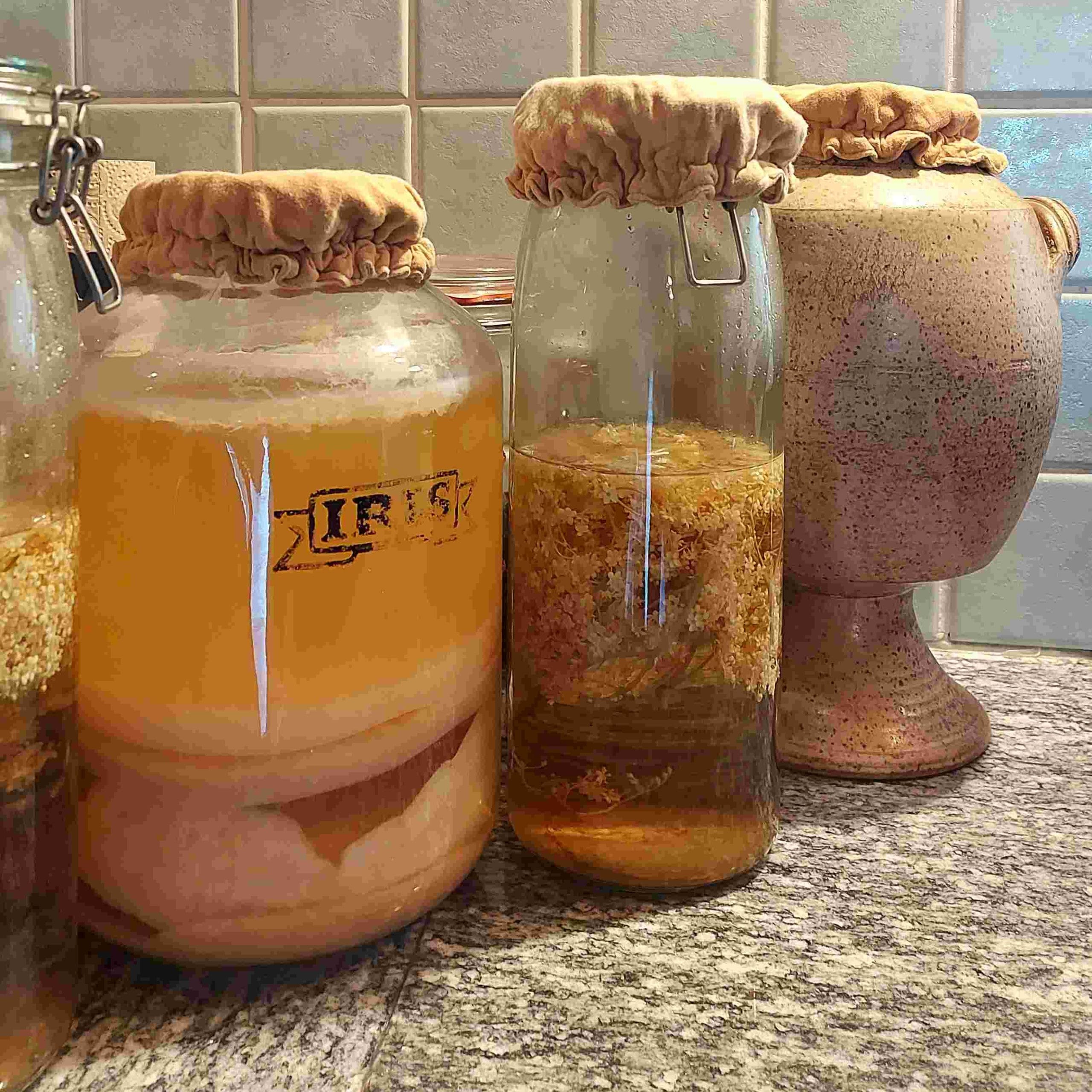 charlotte gaze coton bio lactofermentation kombucha protection
